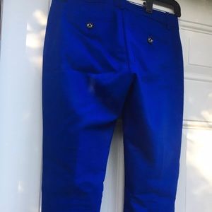 Express Royal Blue Dress Pants